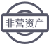 非營資產(chǎn)使用